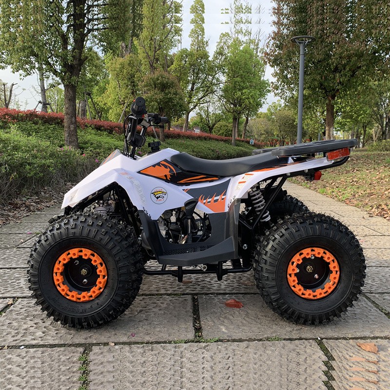 دراجة رباعية سعة 125 سي سي، مر - مراجعة Outdoor Adventure Quad Biking وسعره